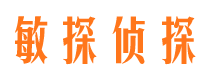 青铜峡市调查公司